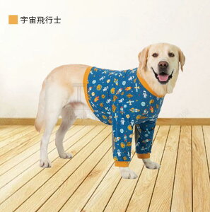 t /^ppEFA Ckp㕞 p㒅 I֐ߕی앞 rߖh~ GUxXJ[ɑ D   p 畆ی jp ё΍ lR|XIyra97810z