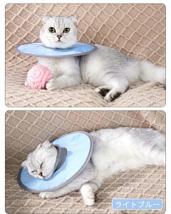 LpGUxXJ[ y \tgGUxXJ[ XgXy p㏝ی rߖh~ lR \ _炩 ybgp\tgGUxXJ[ ~h~  畆a pPA