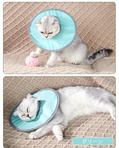 LpGUxXJ[ y \tgGUxXJ[ XgXy p㏝ی rߖh~ lR \ _炩 ybgp\tgGUxXJ[ ~h~  畆a pPA