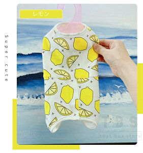 pp㕞 ybg 앞 p㒅pEFA r߂Ȃ  p D   ނ j pEFA ی 畆ی r  킢 lGp ΍ 