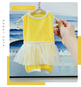 pp㕞 ybg 앞 p㒅pEFA r߂Ȃ  p D   ނ j pEFA ی 畆ی r  킢 lGp ΍ 