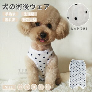 p LpCklRLbgp㕞p㒅pEFA/r߂Ȃ畆 ی D  ނ jp p ėp_炩f/pi/p//p̏ی 畆ی GUxXJ
