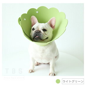 yyV1ʁzi pGUxXJ[ Lp\tgGUxXJ[ XS S M L yʃybgGUxXJ[ EVA ȒP ܂_炩 pi p  p̏یGUxX