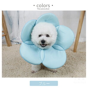 \tgGUxXJ[ ybg GUxXJ[/ȒP veN^[/Lp  L pi /p̏ی Em r h~ PK aC y  _炩 Ch t[ 