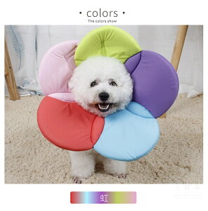 \tgGUxXJ[ ybg GUxXJ[/ȒP veN^[/Lp  L pi /p̏ی Em r h~ PK aC y  _炩 Ch t[ 