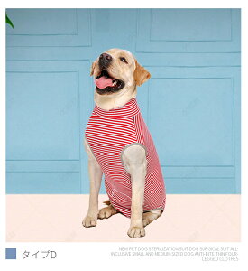 t /^ppEFA Ckp㕞 p㒅 O㑫 ̏ی rߖh~ GUxXJ[ɑ D   p 畆ی jp ё΍ lR|XI[ra97710-2]