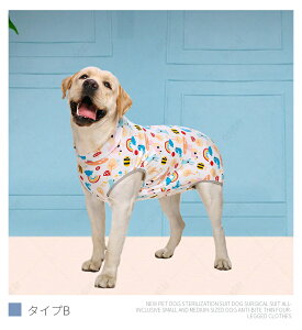 t ^ppEFA ^^ Ckp㕞 p㒅 O㑫 ̏ی rߖh~ GUxXJ[ɑ D   p 畆ی jp ё΍ 앞 wt@