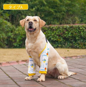 小中大型犬用関節プロテクター 犬用膝サポーター 前足プロテクター 関節保護固定 リハビリ 肘当てリハビリ ひざ用老犬介護 怪我防止老犬介護 介護用品ペットケア ネコポス送料無料![ra7351