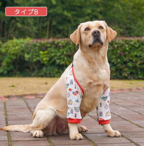 ^p֐߃veN^[ pGT|[^[ OveN^[ ֐ߕیŒ nr Iănr ЂpV h~V piybgPA lR|XI[ra7351