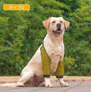 ^p֐߃veN^[ pGT|[^[ OveN^[ ֐ߕیŒ nr Iănr ЂpV h~V piybgPA lR|XI[ra7351