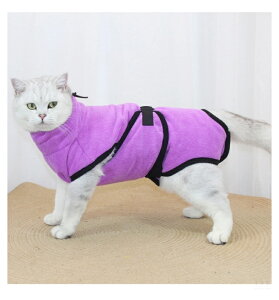 yXS-STCYz/^ybgoX^I LoX[u/KE ybg[u ^I ̐@ z^I ѕz C^I }CNt@Co[ v[g MtglR|X