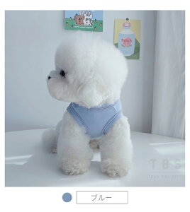 2023t  hbOEFA TVc ^Ngbv ^ʋC hbOEGA EFA ̕   ^m ybg ybgEFA X[c lR|XI[ra50511]