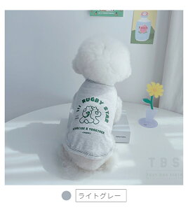 2023t  hbOEFA TVc ^Ngbv ^ʋC hbOEGA EFA ̕   ^m ybg ybgEFA X[c lR|XI[ra50511]