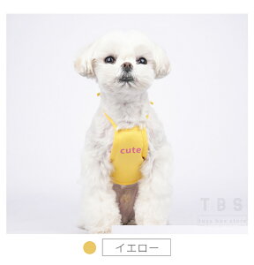 LpGv X^C ybgpX^C 悾ꂩ O| ybgpi  L  ˂  ^ ^ hbOEFA U o ̕ ybgpi lR|XI[ra52211]