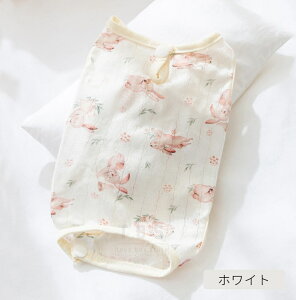 L p㕞  pEFA Lp앞 Ck lR Lbg p㒅 pEFA 畆ی rߖh~ ی D  p㕞 ނ j  pEFA D   앞 X IX 