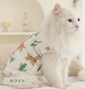 Lpp㕞 ӂ萶n L pEFA lR Lbg p㒅 pEFA 畆ی rߖh~ ی  p D   앞 GUxXJ[ɑ \tgn 