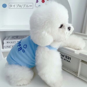 2023t  L~\[ hbOEFA TVc ^Ngbv hbOEGA ̕   ^ m ybg ybgEFA X[c lR|XI[ra53411]