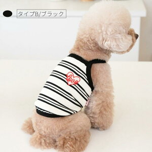 2023t  L~\[ hbOEFA TVc ^Ngbv hbOEGA ̕   ^ m ybg ybgEFA X[c lR|XI[ra53411]