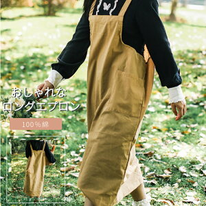  Gv hXGv fB[X[NGv OGv JtFGv s[XGv | ׌  100 n lR|XIyra74411z