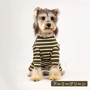  p㕞 p㒅 pEFA  lr 畆ی rߖh~ ی 앞 D  ނ jp  p㕞 pEFA D ی GUxXJ[앞 H~ pW} p[