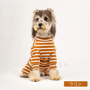  p㕞 p㒅 pEFA  lr 畆ی rߖh~ ی 앞 D  ނ jp  p㕞 pEFA D ی GUxXJ[앞 H~ pW} p[