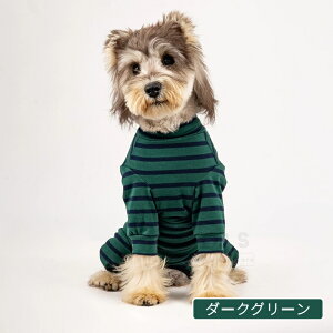  p㕞 p㒅 pEFA  lr 畆ی rߖh~ ی 앞 D  ނ jp  p㕞 pEFA D ی GUxXJ[앞 H~ pW} p[