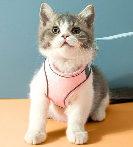  n[lX ^ ^ ^ [h Zbg  L \tgn[lX EFAn[lX  Ck lR }WbNe[v ybg [ht Lbg Ȃ Lbg  ́[