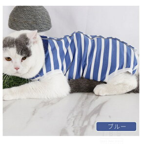 [ ӂ萶n̔Lpp㕞 g₷wJ  p D    p㒅EFA p[XȂrߖh~ pi GUxXJ[ lR|XI[ra48611]