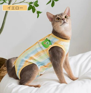 Lpp㕞 ӂ萶n L pEFA lRLbg p㒅 pEFA r߂Ȃ 畆ی  p D  pi ی GUxXJ[̑ tďH~ lr 