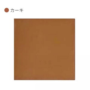 JpیNX JbsONX ^I NX JYیNX y ނ RpNg [|[` [obO Jbv JP[X Switch Q