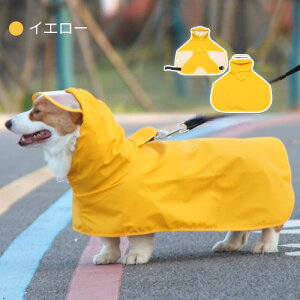  CEFA ^ ^ ^ CR[g J t[ht ybgCEFA |` JH ~J΍ yʖh o U hCR[g ̃Jbp hbOEFA 