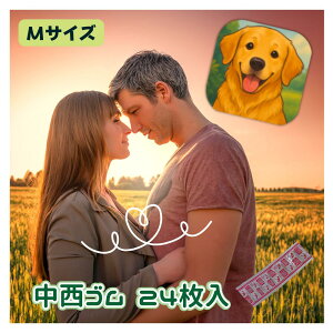 yNbN|Xgzn[xXgVA[ MTCY 24 S Ɩp Rh[ XL S D Ǒ΍ D lC  jp 24 ʃTCY ȂXC_[obO 