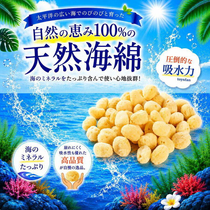 楽天市場】【送料無料】業務用天然海綿シルク サイズ4（約4cm前後）SS 
