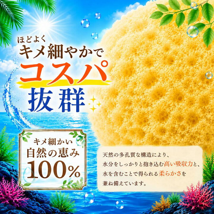 楽天市場】【全国一律 送料無料】天然海綿シルク サイズ4（約4cm前後 
