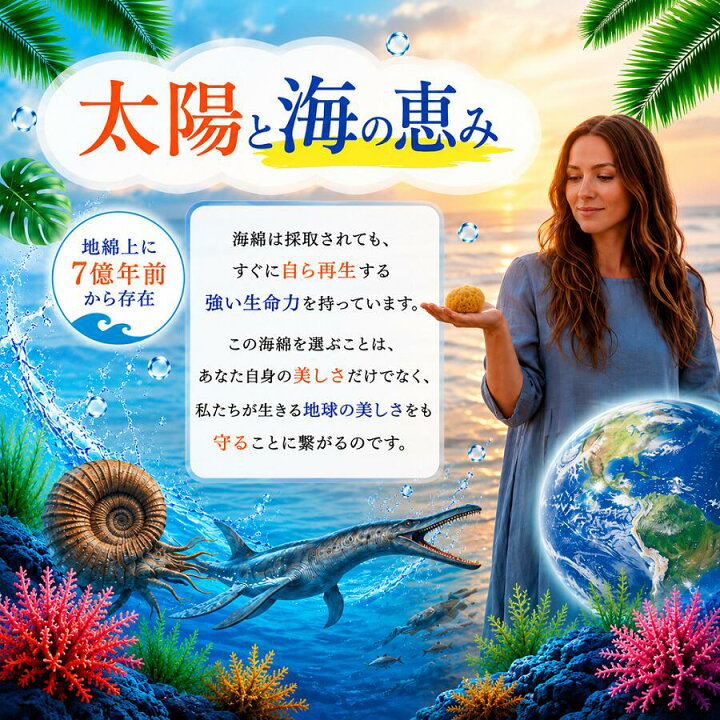 楽天市場】【全国一律 送料無料】天然海綿シルク サイズ4（約4cm前後 