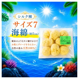 【スーパーSALE限定クーポン 9/11 1時59分まで】【全国一律 送料無料】グリーンラベル 天然海綿シルク サイズ7（約6〜7cm）1袋10個入 業務用 スポンジ 分割 カット 女性 フェイス 洗顔 メイク落とし パフ サニタリー 吸水力 美容 ケア スキン 海外直輸入