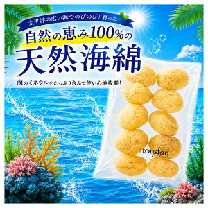 ���i�摜