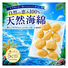 【5のつく日！9/15はポイント10倍】【業務用】天然海綿シルク サイズ5（約5cm）1袋10個入り│業務用海綿 天然スポンジ 海綿スポンジ 海面スポンジ フェイス ボディ 洗顔 メイク 女性向け 女性用 サニタリー