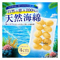 【業務用】天然海綿シルク サイズ4（約4cm前後）SSサイズ 【1袋10個入り】イエローラベル 業務用海綿 天…