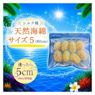 【クリックポスト】天然海綿シルク サイズ5（約5cm前後） 【1袋8個入り】業務用海綿 天然スポンジ 海綿ス…