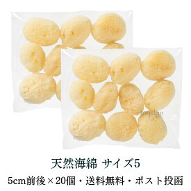 【全国一律 送料無料】天然海綿シルク サイズ5（約5cm）20個入 10個セット×2袋 業務用 スポンジ 分割 カット 女性用 フェイス 洗顔 メイク落とし パフ サニタリー 吸水力 美容 ケア スキン 薬局 ドラッグストア 海外直輸入 コスパ 売れ筋 倉庫発送 メール便 ポスト投函