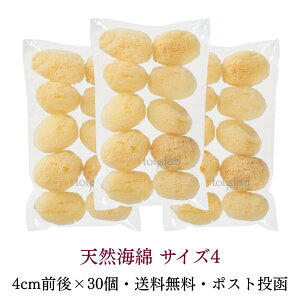 ySꗥ zVRCȃVN TCY4i4cmOjSSTCY 30 10Zbg×3 Ɩp X|W  Jbg p tFCX  CNƂ pt Tj^[ z e P