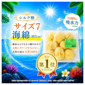 【5のつく日！9/15はポイント10倍】【業務用海綿】グリーンラベル 天然海綿シルク サイズ7（約6〜7cm）1袋10個入り│海綿スポンジ 海面スポンジ サニタリー 仕入れ プロ仕様 女性用 レディース 赤ちゃん