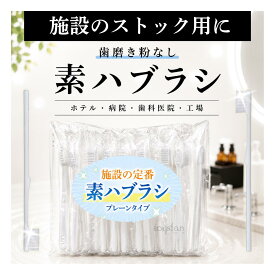 【スーパーSALE限定クーポン 9/11 1時59分まで】【日本製】業務用使い捨て歯ブラシ（ハミガキ粉無し） 100本入り│国産 口腔衛生用 清掃用 掃除用 ハブラシ 個包装 素ハブラシ 大容量 大量 まとめ買い
