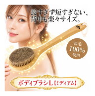 【全国一律 送料無料】馬毛 ボディブラシL（ソフト）ミディアム 35cm ウェット ドライ ブラッシング 美容…