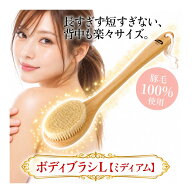 【全国一律 送料無料】豚毛 ボディブラシL（ハード）ミディアム 35cm ウェット ドライ ブラッシング 美容…