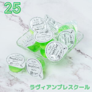 yg؂}EXEHbVzBA uXN[ 16ml×25脠g؂Jbv I[PA ĝ {  o g ^ 