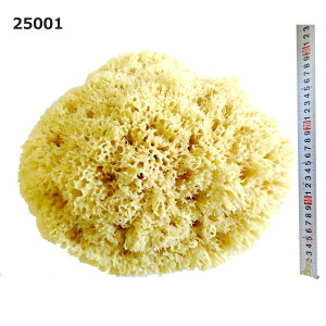 yzy1zVRC rbNTCY 25001 i340×310×220mmj IuWF ϏܗpC ōG[QCYnjJ Ai