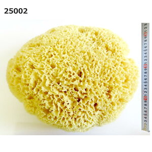 yzy1zVRC rbNTCY 25002 i350×330×160mmj IuWF ϏܗpC ōG[QCYnjJ Ai