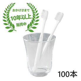 【日本製】業務用使い捨て歯ブラシ（ハミガキ粉無し） 100本入り│国産 口腔衛生用 清掃用 掃除用 ハブラシ 個包装 素ハブラシ 大容量 大量 まとめ買い